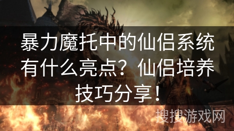 暴力魔托中的仙侣系统有什么亮点？仙侣培养技巧分享！