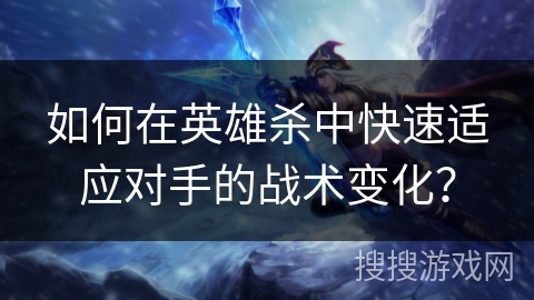 如何在英雄杀中快速适应对手的战术变化？