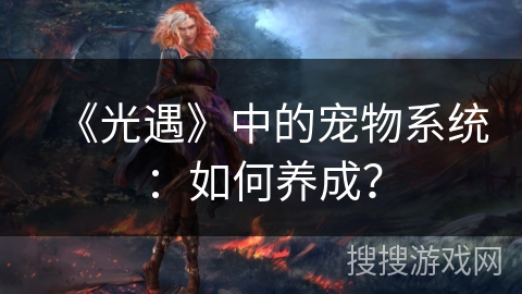 《光遇》中的宠物系统：如何养成？