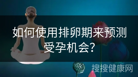 如何使用排卵期来预测受孕机会？