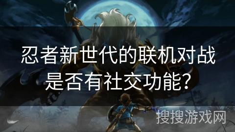 忍者新世代的联机对战是否有社交功能？