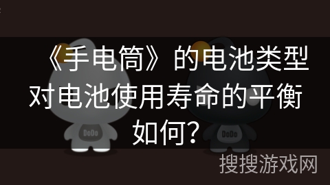 《手电筒》的电池类型对电池使用寿命的平衡如何？