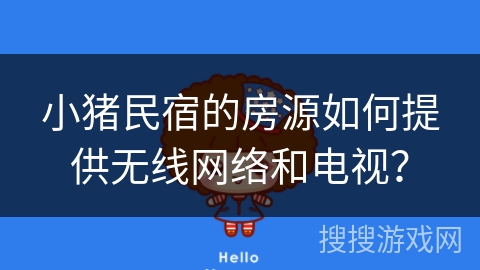 小猪民宿的房源如何提供无线网络和电视？