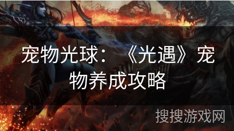 宠物光球：《光遇》宠物养成攻略