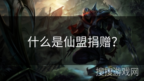 什么是仙盟捐赠？