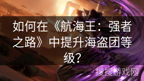 如何在《航海王：强者之路》中提升海盗团等级？