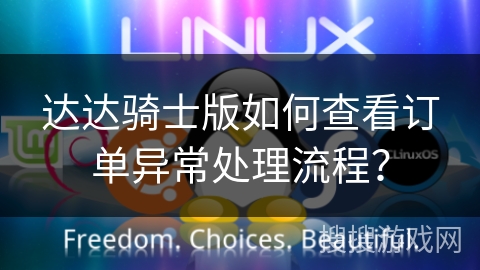 达达骑士版如何查看订单异常处理流程？