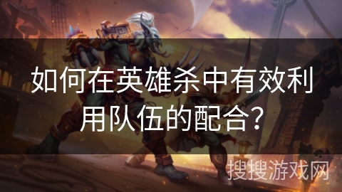 如何在英雄杀中有效利用队伍的配合？