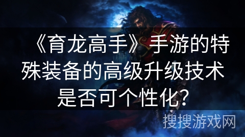 《育龙高手》手游的特殊装备的高级升级技术是否可个性化？