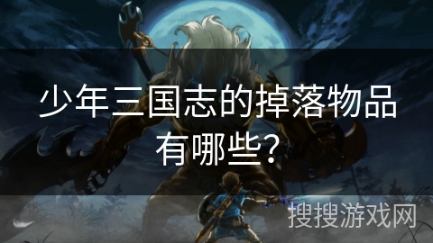 少年三国志的掉落物品有哪些？