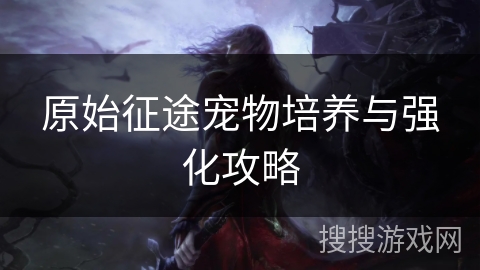 原始征途宠物培养与强化攻略