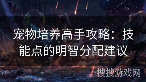 宠物培养高手攻略：技能点的明智分配建议