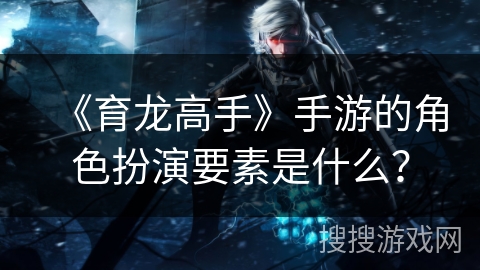 《育龙高手》手游的角色扮演要素是什么？