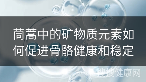 茼蒿中的矿物质元素如何促进骨骼健康和稳定