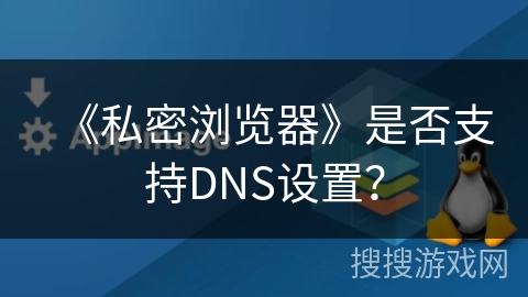 《私密浏览器》是否支持DNS设置？