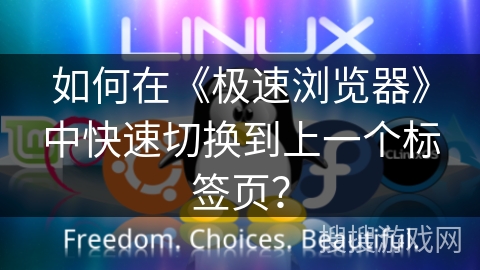 如何在《极速浏览器》中快速切换到上一个标签页？