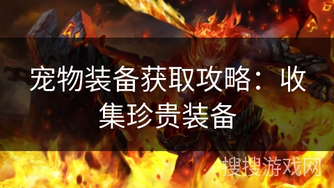 宠物装备获取攻略：收集珍贵装备