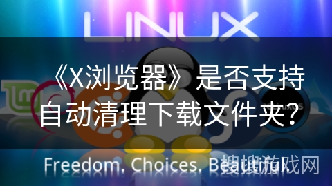 《X浏览器》是否支持自动清理下载文件夹？