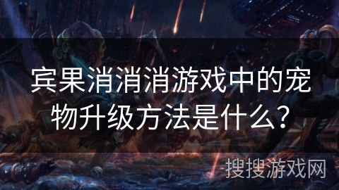 宾果消消消游戏中的宠物升级方法是什么？