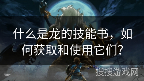 什么是龙的技能书，如何获取和使用它们？