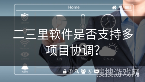 二三里软件是否支持多项目协调？