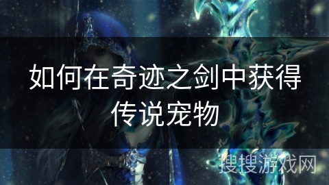 如何在奇迹之剑中获得传说宠物