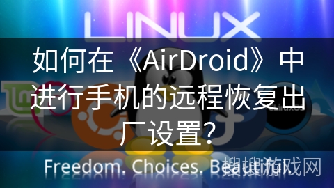 如何在《AirDroid》中进行手机的远程恢复出厂设置？