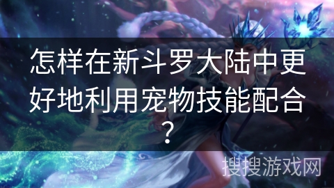 怎样在新斗罗大陆中更好地利用宠物技能配合？