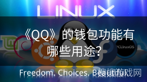 《QQ》的钱包功能有哪些用途？