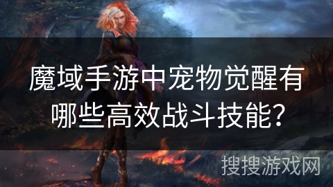 魔域手游中宠物觉醒有哪些高效战斗技能？