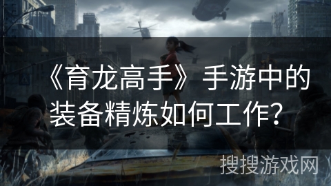 《育龙高手》手游中的装备精炼如何工作？