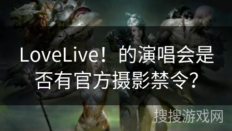 LoveLive！的演唱会是否有官方摄影禁令？