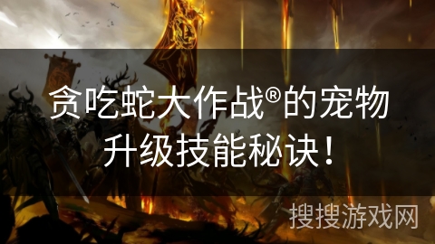 贪吃蛇大作战®的宠物升级技能秘诀！