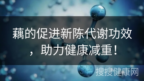 藕的促进新陈代谢功效，助力健康减重！