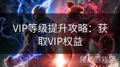 VIP等级提升攻略：获取VIP权益