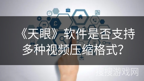 《天眼》软件是否支持多种视频压缩格式？