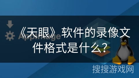 《天眼》软件的录像文件格式是什么？