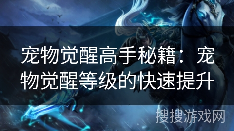 宠物觉醒高手秘籍：宠物觉醒等级的快速提升