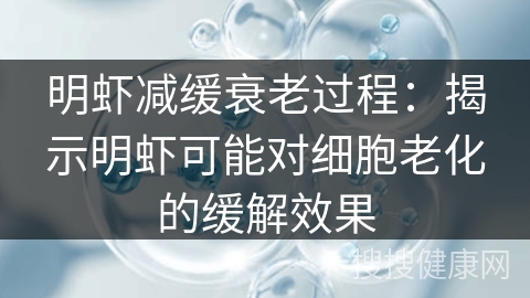 明虾减缓衰老过程：揭示明虾可能对细胞老化的缓解效果