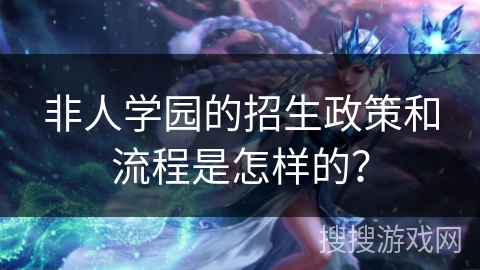 非人学园的招生政策和流程是怎样的？