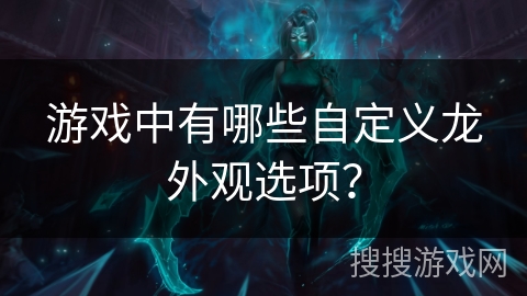 游戏中有哪些自定义龙外观选项？