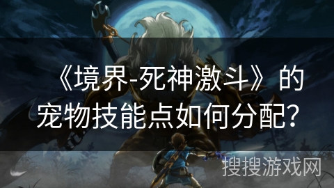 《境界-死神激斗》的宠物技能点如何分配？