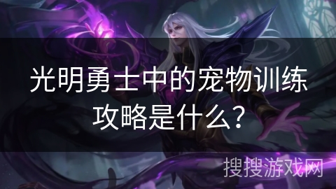 光明勇士中的宠物训练攻略是什么？