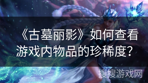 《古墓丽影》如何查看游戏内物品的珍稀度？