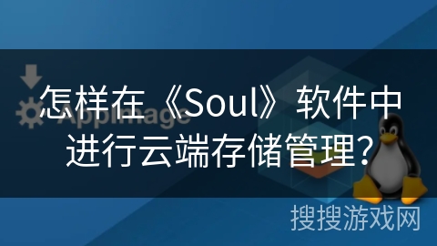怎样在《Soul》软件中进行云端存储管理？