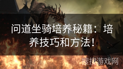 问道坐骑培养秘籍：培养技巧和方法！