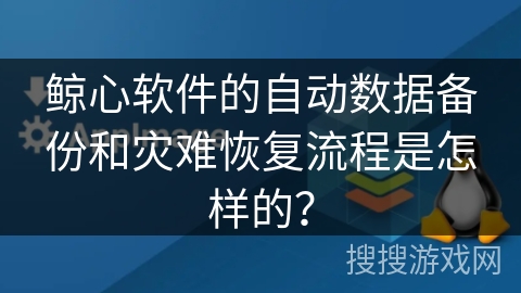 鲸心软件的自动数据备份和灾难恢复流程是怎样的？