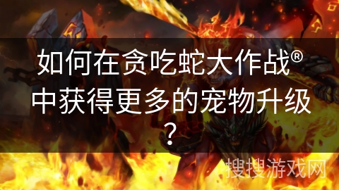 如何在贪吃蛇大作战®中获得更多的宠物升级？