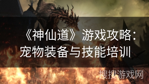 《神仙道》游戏攻略：宠物装备与技能培训