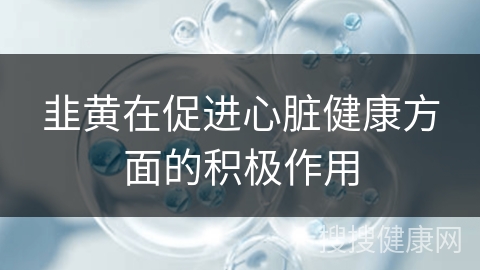 韭黄在促进心脏健康方面的积极作用